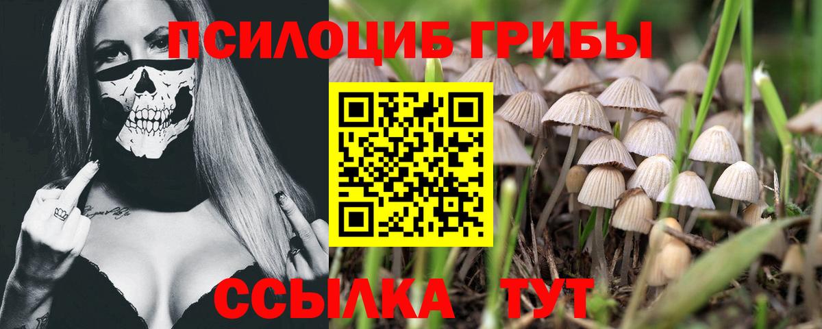Трёхгорный  Псилоцибиновые грибы Psilocybe  Вход с VPN 